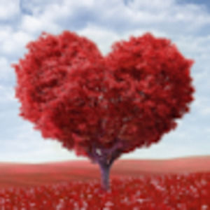 Meet your Posher, Eva